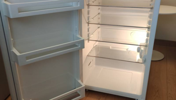 Замена термореле на холодильнике Liebherr T 1410